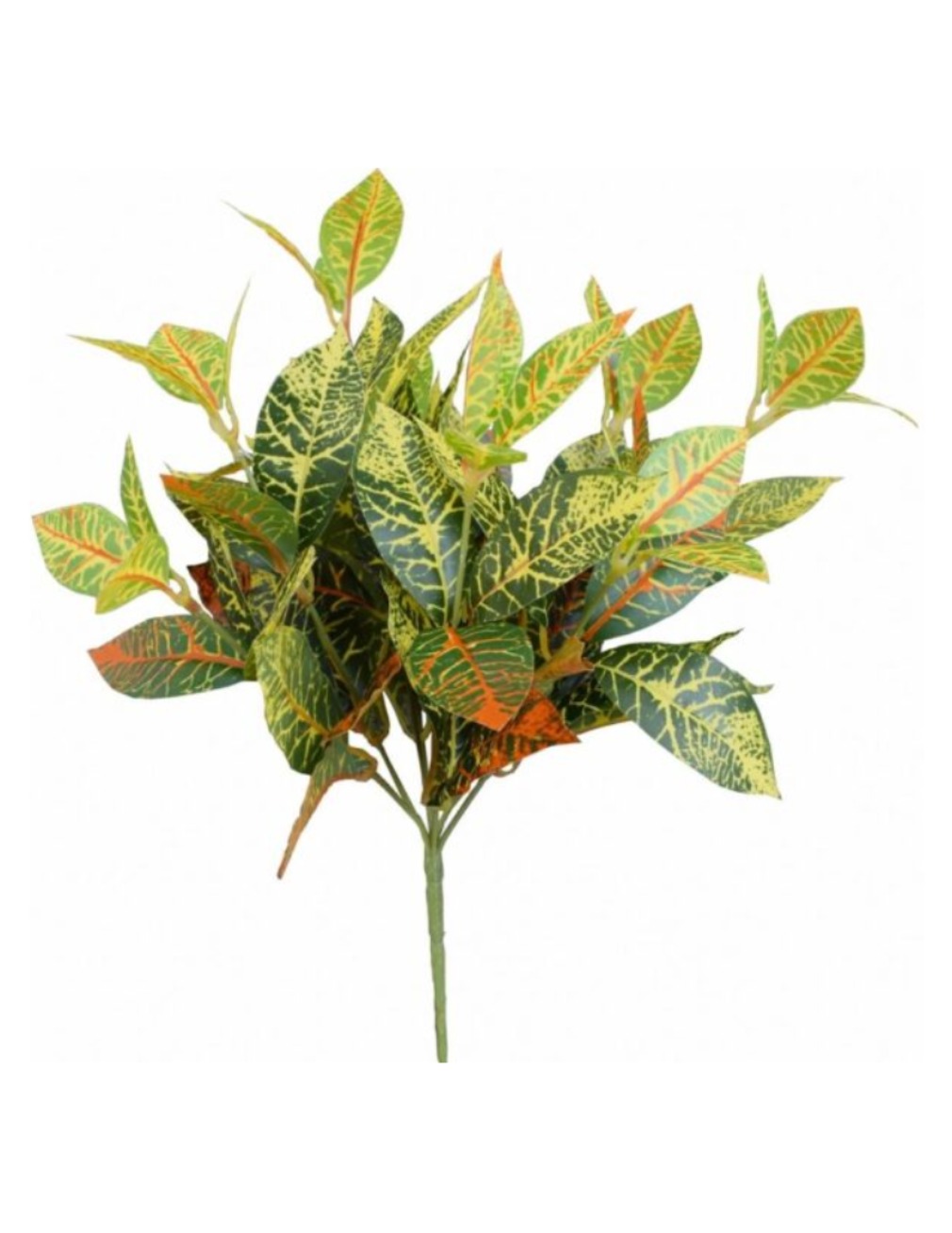 بوته برگ کورتون 12 بازو  کد N080